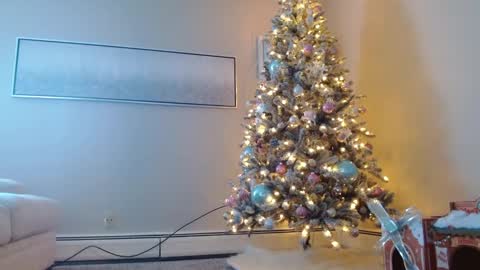 Snapshot of smexy_bun chatting on 12-01-24, 05:24 Smexy online show from 12-01-24, 05:24