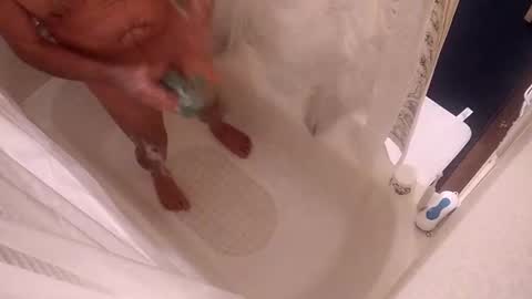 Snapshot of smithology chatting on 01-05-25, 03:11 Smithology online show from 01-05-25, 03:11