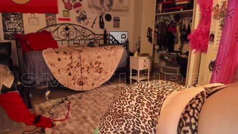 Snapshot of smokihippi chatting on 12-27-24, 01:53 Big Dawg online show from 12-27-24, 01:53