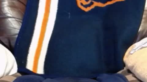 CJ online show from 12-05-25, 08:01