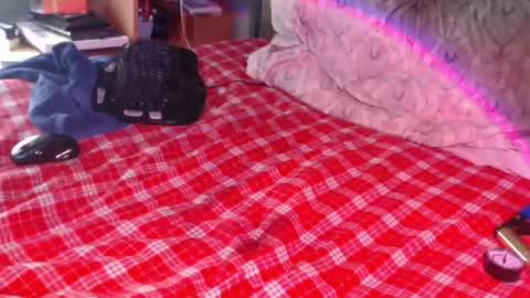 Snapshot of snailfxcks chatting on 02-17-26, 02:35 Snail online show from 02-17-26, 02:35