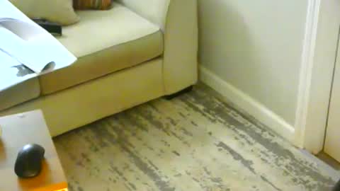 Snapshot of snizniz chatting on 01-21-25, 06:23 snizniz online show from 01-21-25, 06:23