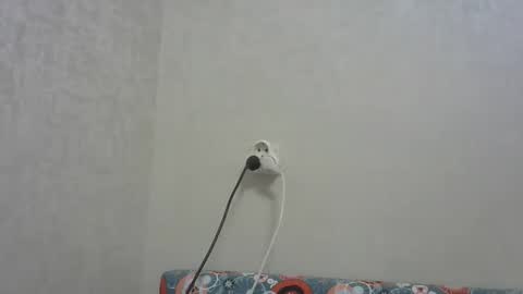 Snapshot of snowyqred chatting on 12-19-25, 05:09 Arthur online show from 12-19-25, 05:09