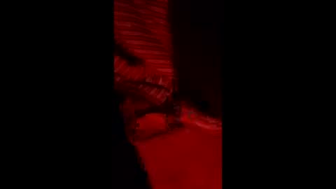 snqhephncxpu online show from 03-11-26, 05:02