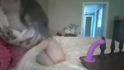 Snapshot of soaring_angel chatting on 12-30-24, 03:24 soaring_angel online show from 12-30-24, 03:24