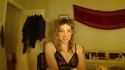 Snapshot of soffpurr chatting on 11-01-25, 08:38 Lilytea online show from 11-01-25, 08:38