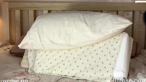 Snapshot of sofftrose chatting on 01-11-25, 12:33 Julia    online show from 01-11-25, 12:33