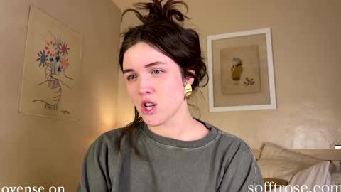 Snapshot of sofftrose chatting on 01-22-25, 02:04 Julia    online show from 01-22-25, 02:04