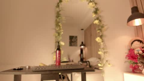 Snapshot of sofiesoft chatting on 01-05-26, 05:27 Sofie online show from 01-05-26, 05:27