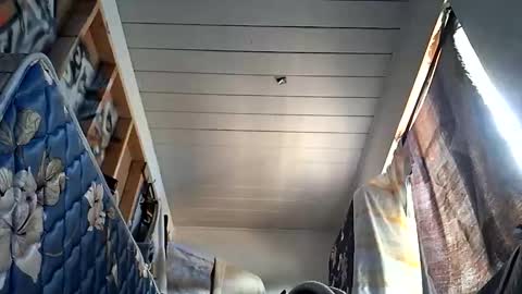 sohan730903 online show from 10-01-25, 07:20