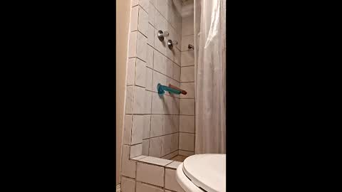 Snapshot of sologirl81 chatting on 02-06-26, 05:38 sologirl81 online show from 02-06-26, 05:38