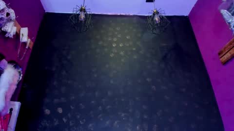 Snapshot of sommer_alexa chatting on 02-12-26, 07:31 Alexa online show from 02-12-26, 07:31