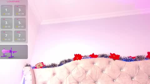 Shophi online show from 12-20-24, 11:47