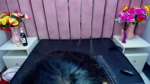 Snapshot of sophi_hardd chatting on 12-13-24, 10:13 sophi_hardd online show from 12-13-24, 10:13