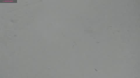 sophia_ebony___ online show from 04-29-26, 12:09