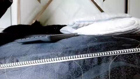 Snapshot of sophiaalee chatting on 02-13-26, 01:12 SophiaLee online show from 02-13-26, 01:12