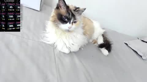 Snapshot of sophiebaker__ chatting on 02-03-26, 02:10 sophiebaker__ online show from 02-03-26, 02:10