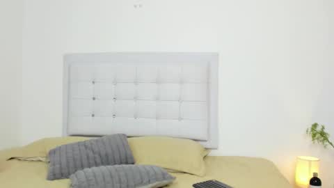 Snapshot of sopphiefox chatting on 11-28-25, 01:52 Sofia online show from 11-28-25, 01:52