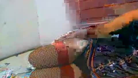 Soulless Jenica online show from 04-21-26, 02:26