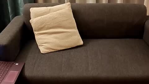 Snapshot of soyandytruhan chatting on 02-22-26, 11:58 Andy online show from 02-22-26, 11:58