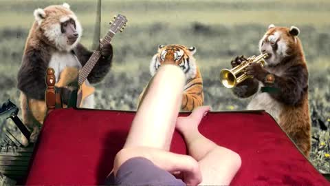 Snapshot of soymigo chatting on 02-11-26, 05:23 soymigo online show from 02-11-26, 05:23