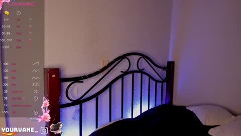 Snapshot of soyvane chatting on 12-17-24, 08:56 VANESSA online show from 12-17-24, 08:56