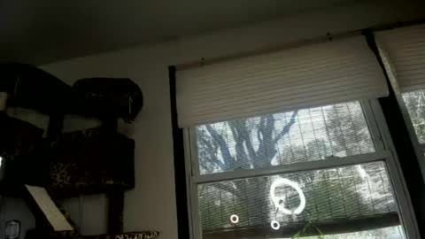 AmberSpanks online show from 06-13-26, 11:24