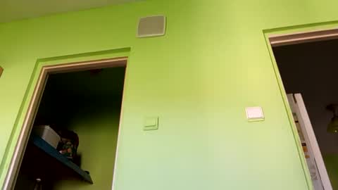 Snaiky online show from 04-26-26, 10:57