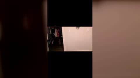 specialiest online show from 03-08-26, 08:45