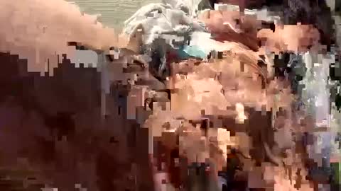 Sammi online show from 12-16-24, 07:32