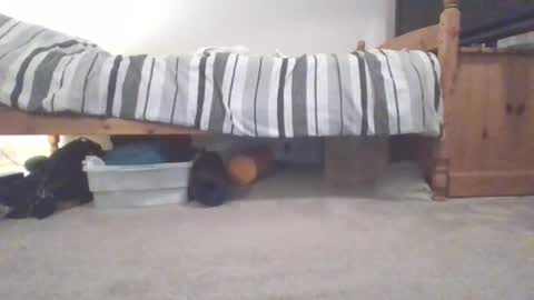 Snapshot of sportyguy283 chatting on 03-04-25, 10:05 Sportyguy283 online show from 03-04-25, 10:05