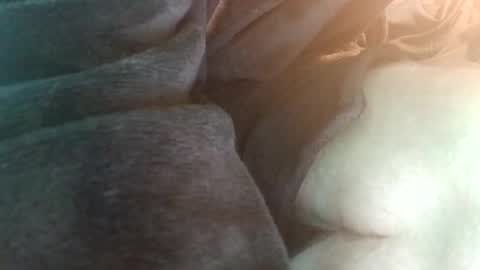 spunfuncumming online show from 07-19-26, 06:55