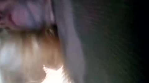 Snapshot of spunslut212 chatting on 01-06-25, 03:51 spunslut212 online show from 01-06-25, 03:51