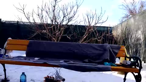 Snapshot of squirt_bunny77 chatting on 02-20-25, 12:57 My name is Maya Lush is activeThere are legends that in this room all your wishes can come true Private is Open online show from 02-20-25, 12:57