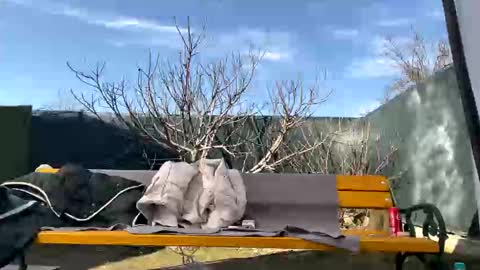 Snapshot of squirt_bunny77 chatting on 03-07-25, 10:02 My name is Maya Lush is activeThere are legends that in this room all your wishes can come true Private is Open online show from 03-07-25, 10:02
