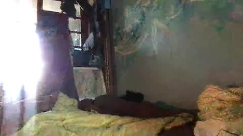 Snapshot of srekos38 chatting on 10-07-25, 06:32 srekos38 online show from 10-07-25, 06:32