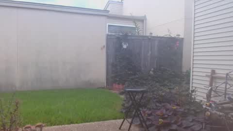 srtxshow online show from 09-23-25, 07:06