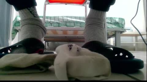 Snapshot of ssenzo chatting on 12-10-24, 09:54 ssenzo online show from 12-10-24, 09:54