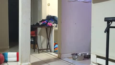 Snapshot of stacytasteme chatting on 01-29-25, 12:45 Submissive Slut LOVES adoration online show from 01-29-25, 12:45