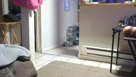 Snapshot of stacytasteme chatting on 10-23-25, 04:23 Submissive Slut LOVES adoration online show from 10-23-25, 04:23