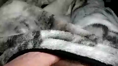 Snapshot of stargazor chatting on 12-20-24, 10:05 stargazor online show from 12-20-24, 10:05