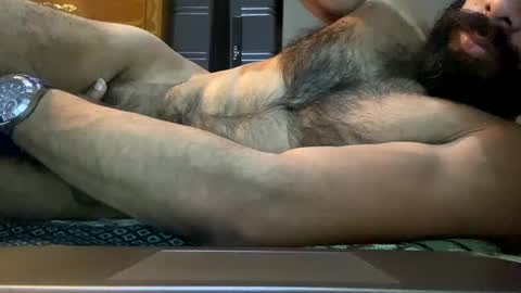 Lobo del Antiguo Oriente online show from 04-16-26, 02:56