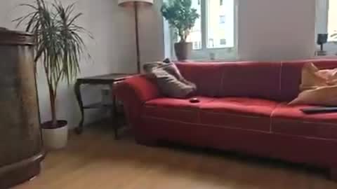 Stefan online show from 06-15-26, 06:15