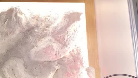 Snapshot of stellaciel_ chatting on 02-28-26, 11:06 S T E L L A online show from 02-28-26, 11:06