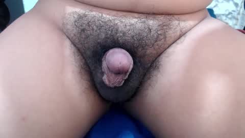 Snapshot of stellaven chatting on 02-14-25, 06:56 Stellaven online show from 02-14-25, 06:56