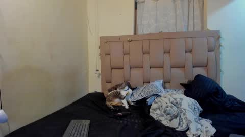 Snapshot of stepcouple__ chatting on 01-07-26, 11:51 Stepcouple online show from 01-07-26, 11:51