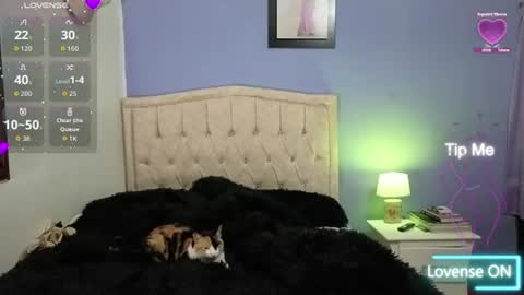 Stephania online show from 06-11-26, 02:11