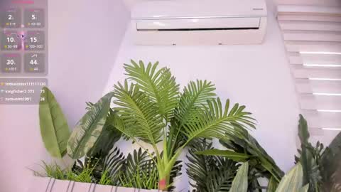 Stephany  online show from 04-29-26, 05:30