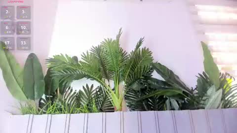 Stephany  online show from 07-28-26, 07:39