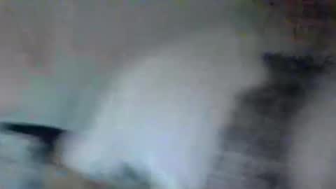 stevedoer1 online show from 05-02-26, 10:26